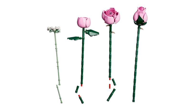 Rausvų rožių puokštė