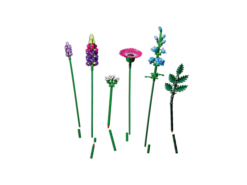 Laukinių gėlių puokštė