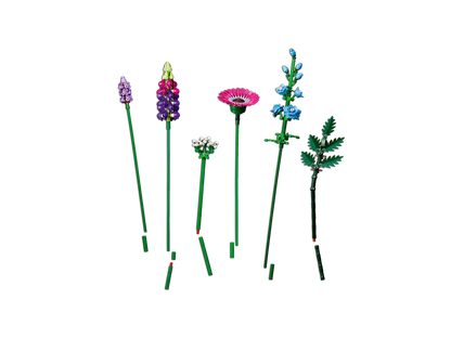 Laukinių gėlių puokštė