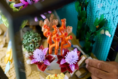 Atogrąžų akvariumas